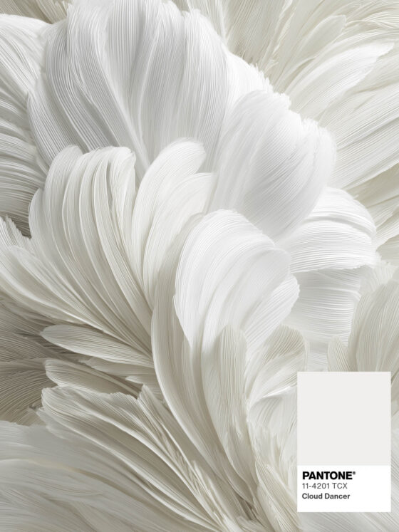 Pantone zaatakował świat bielą