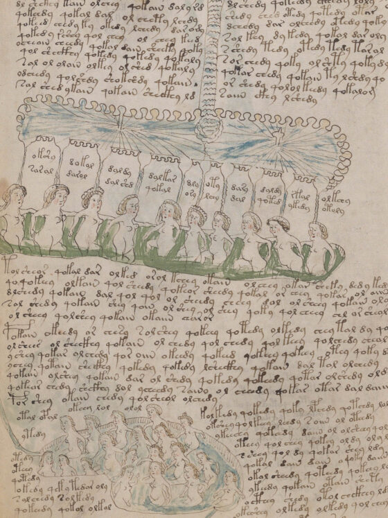 Manuskrypt, którego nikt nie potrafi przeczytać