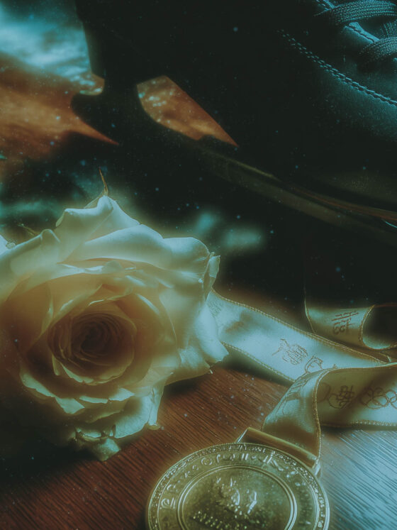 Faworyci, czyli romans na lodzie